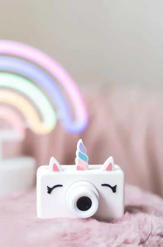 Appareil photo｜Licorne