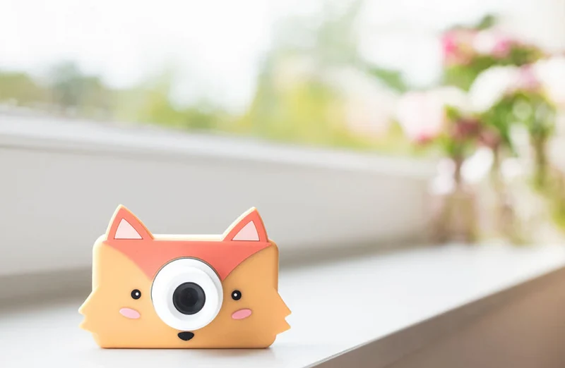 Appareil photo｜Renard