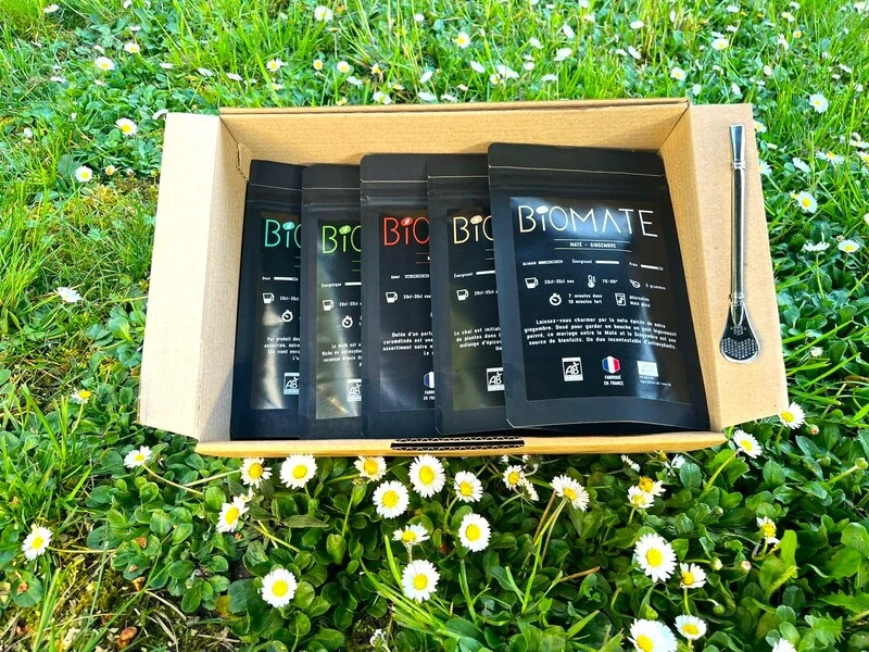 COFFRET MULTI SAVEURS MATÉ BIO + PAILLE FILTRANTE OFFERTE (5 SACHETS DE 50G, GOÛTS PERSONNALISABLES)