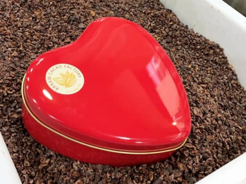 Le Coffret Cœur D'amour x Nuit blanche - Truffes et Fèves de Cacao cru