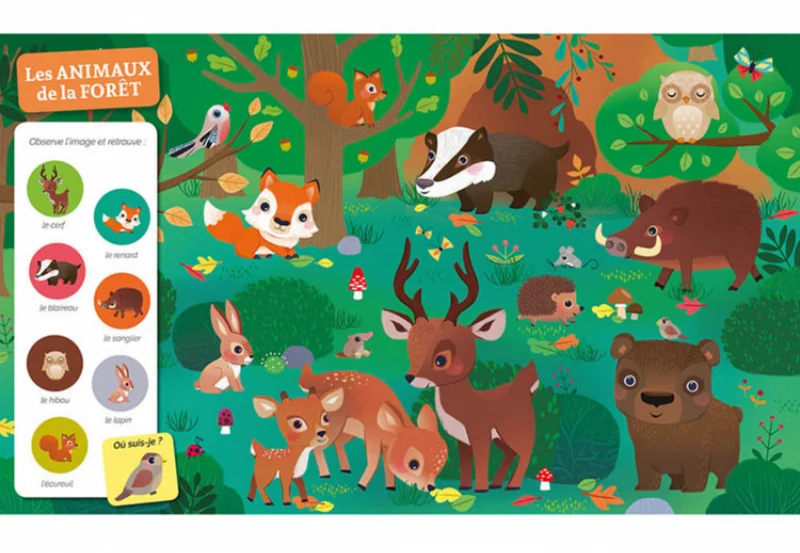 Cherche & trouve des tout-petits | Chez les animaux