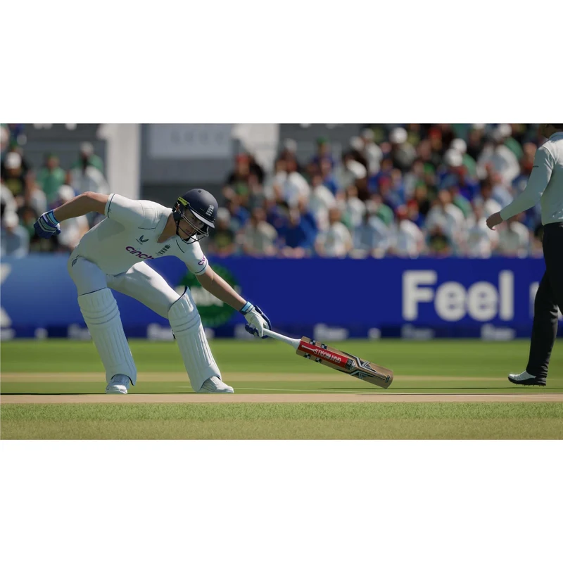 Cricket 24