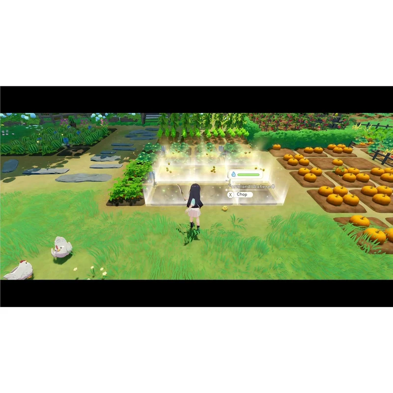 Starsand Island